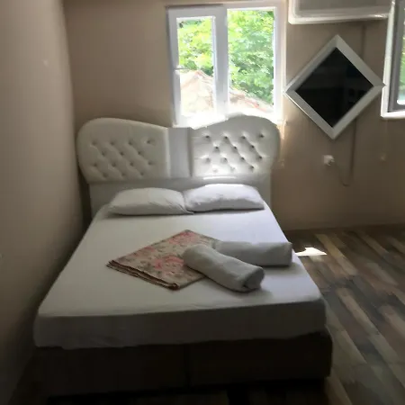 Hostel Amintas *
